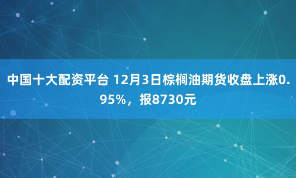 中国十大配资平台 12月3日棕榈油期货收盘上涨0.95%，报8730元