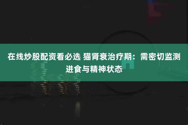 在线炒股配资看必选 猫肾衰治疗期：需密切监测进食与精神状态
