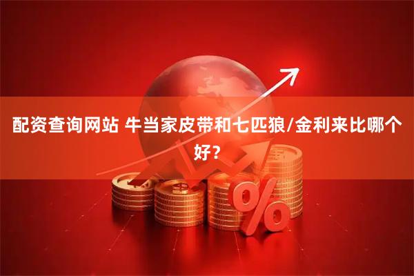 配资查询网站 牛当家皮带和七匹狼/金利来比哪个好？