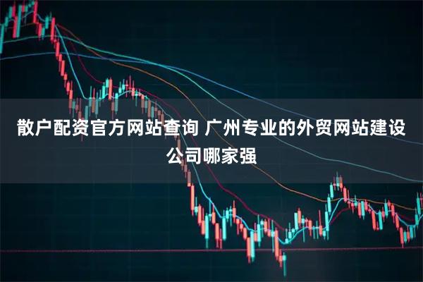 散户配资官方网站查询 广州专业的外贸网站建设公司哪家强